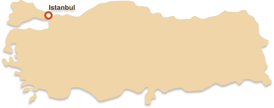 turkey.png